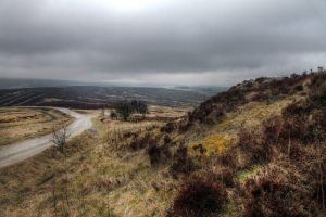 haworth moor march 2016 sm.jpg